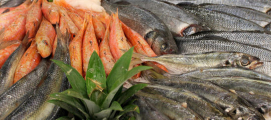 poisson